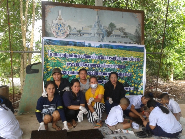 โครงการปลูกต้นดาวเรืองเตรียมการสนับสนุนการจัดงานพระราชพิธีถวายพระเพลิงพระบรมศพ ร.9 